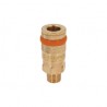 Cople rápido de latón, macho, cuerda 1/4? NPT